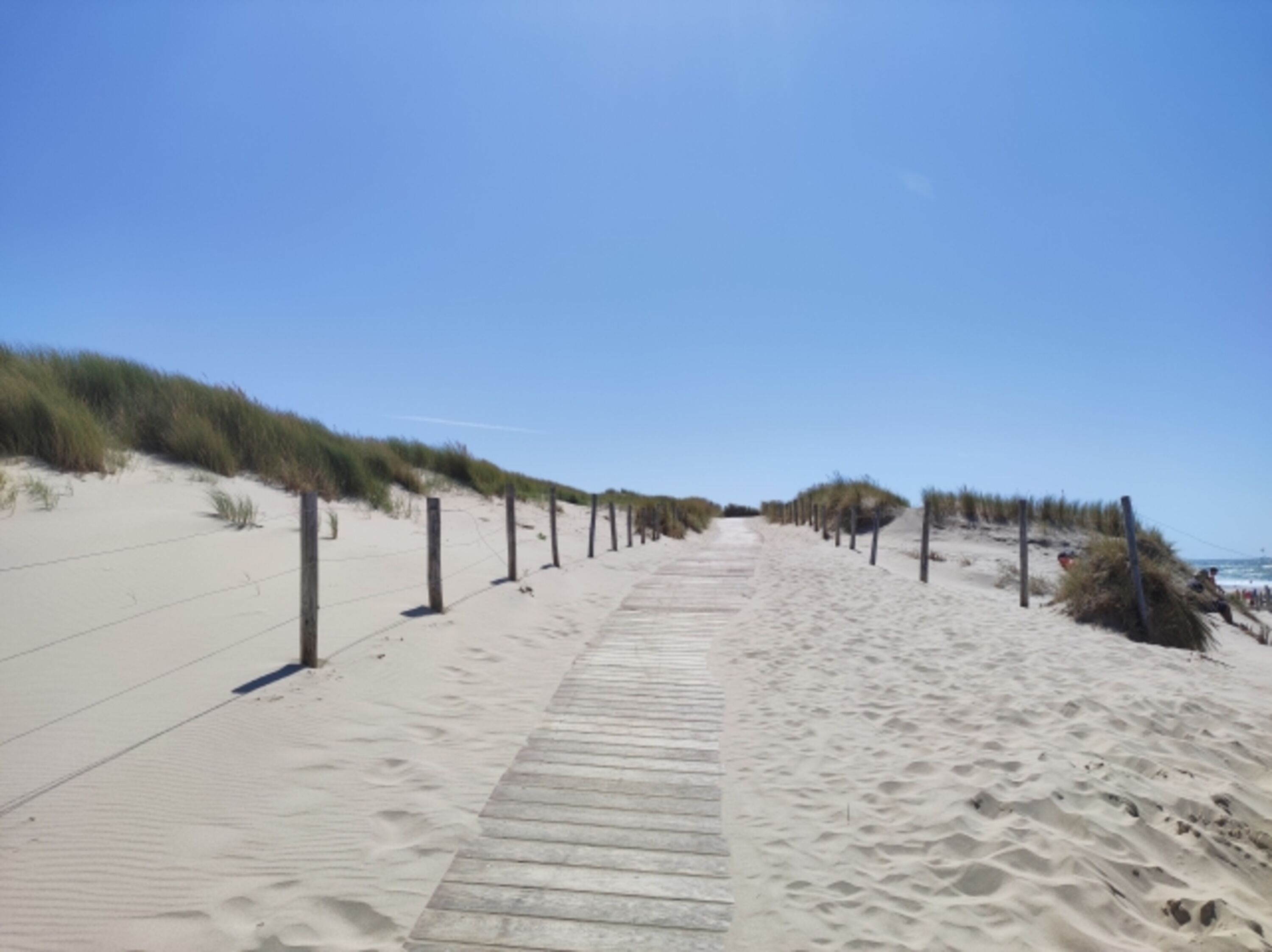 Sand