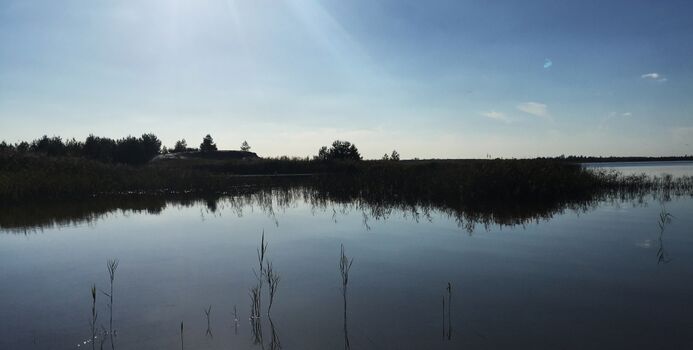 das Lausitzer Seenland