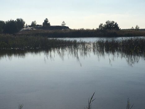 das Lausitzer Seenland