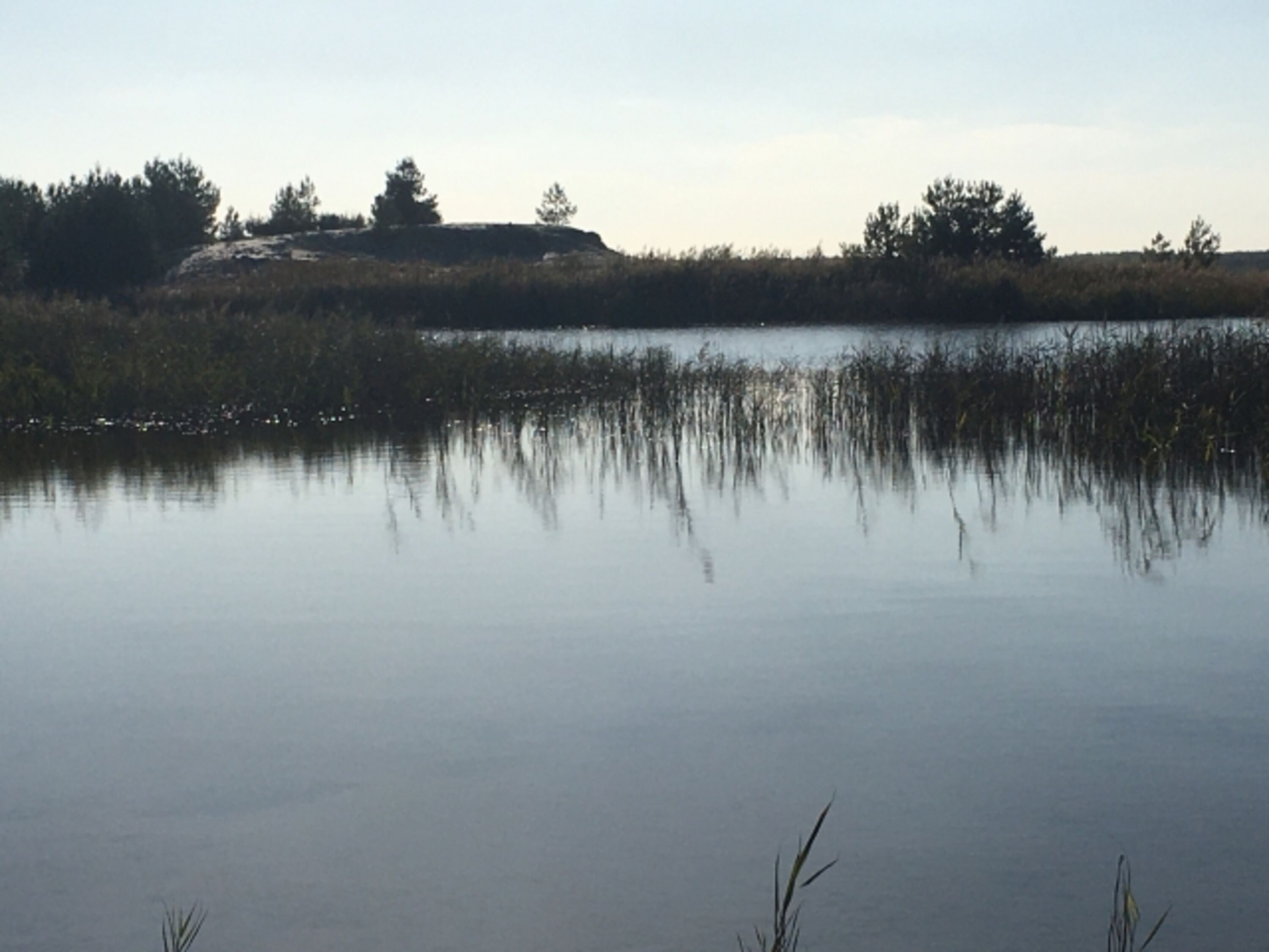 das Lausitzer Seenland