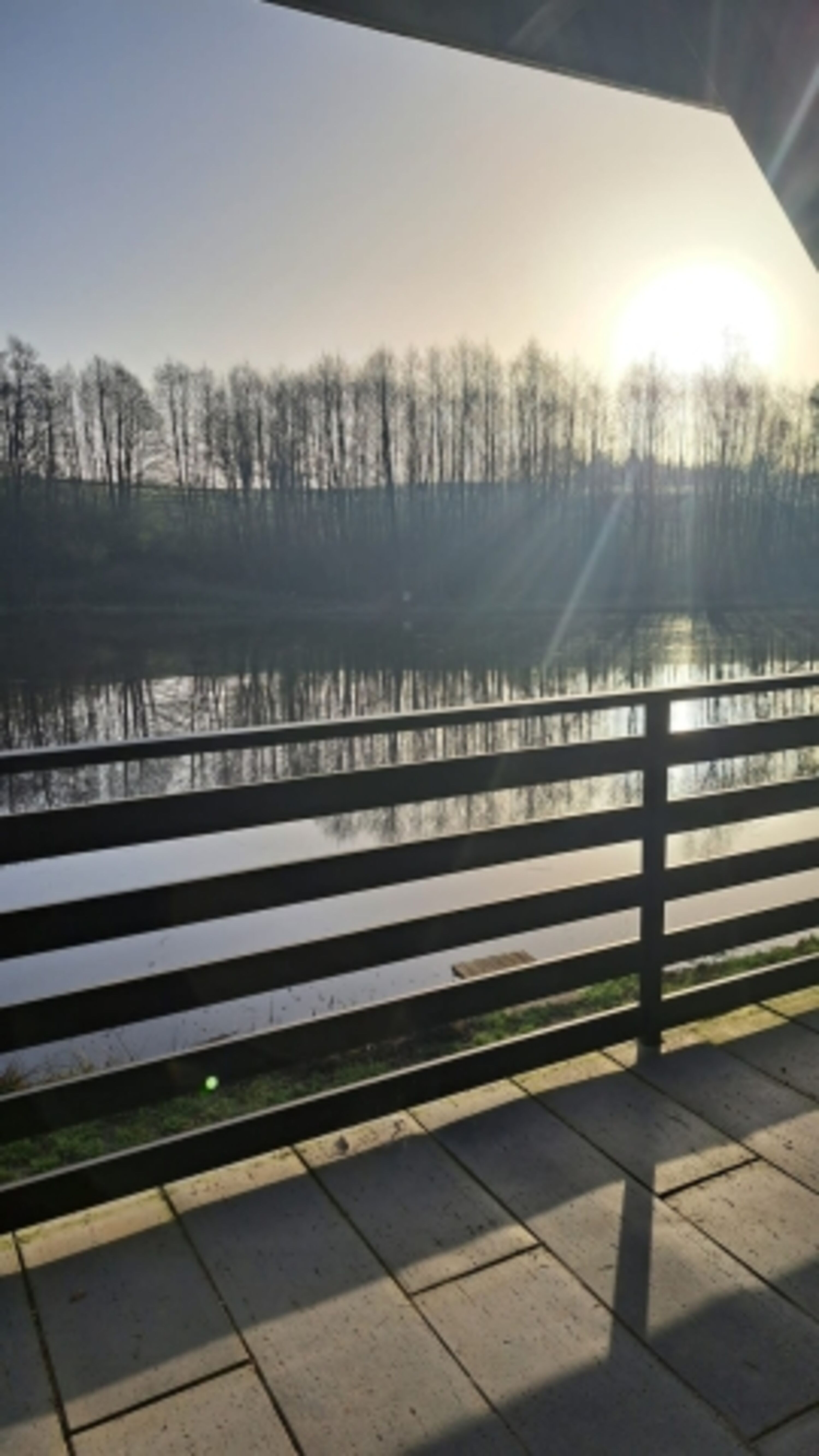 Bild 19
