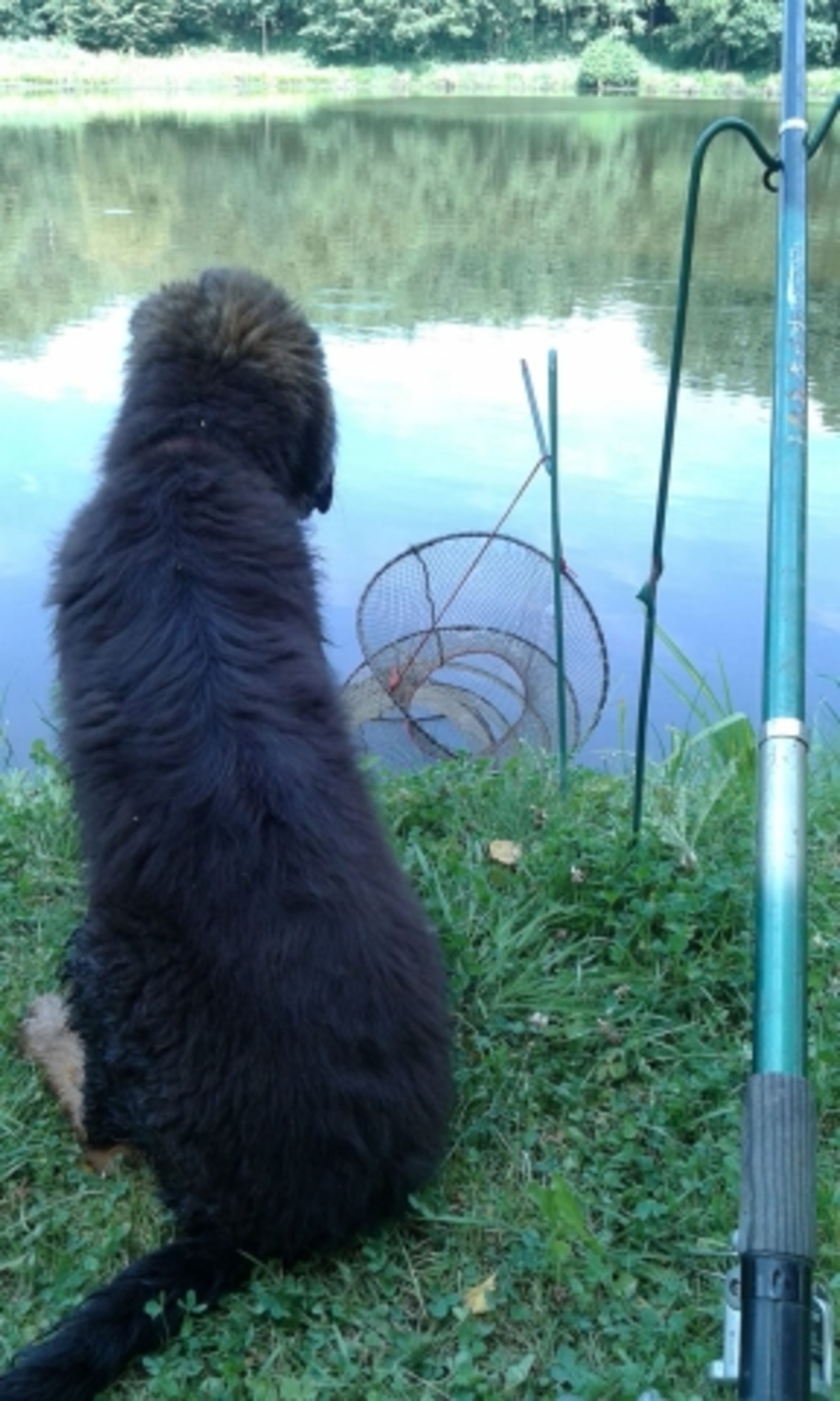 Bild 18