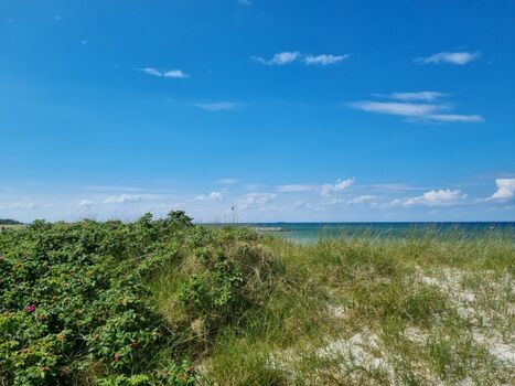 traumhafte Ostseeküste