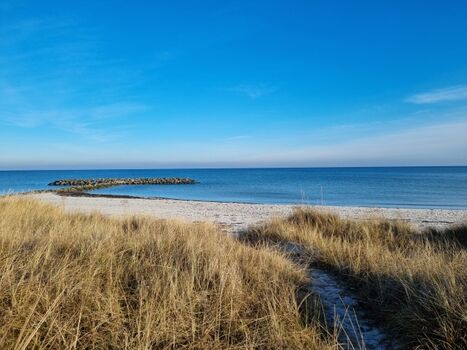 traumhafte Ostseeküste