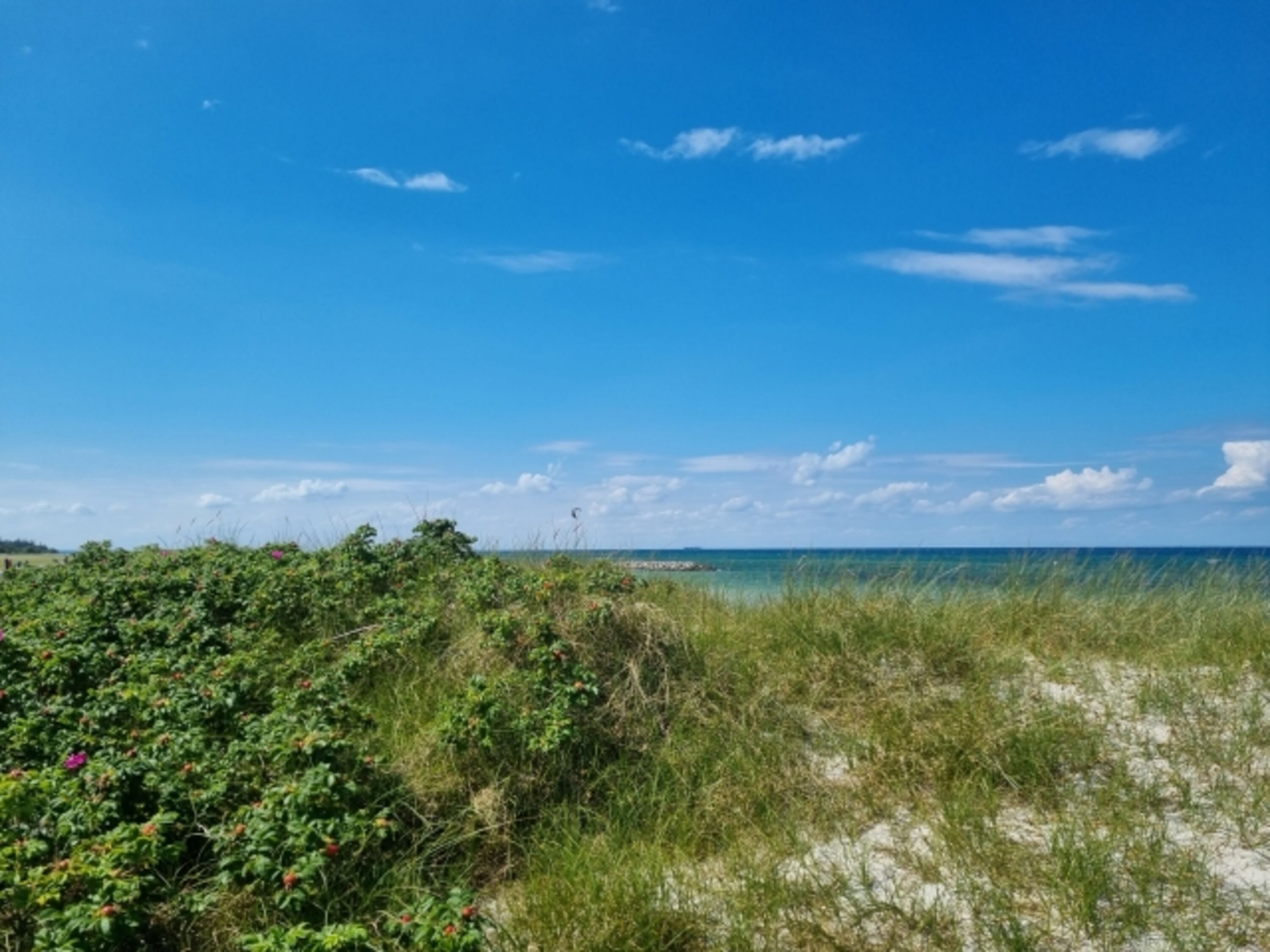 traumhafte Ostseeküste