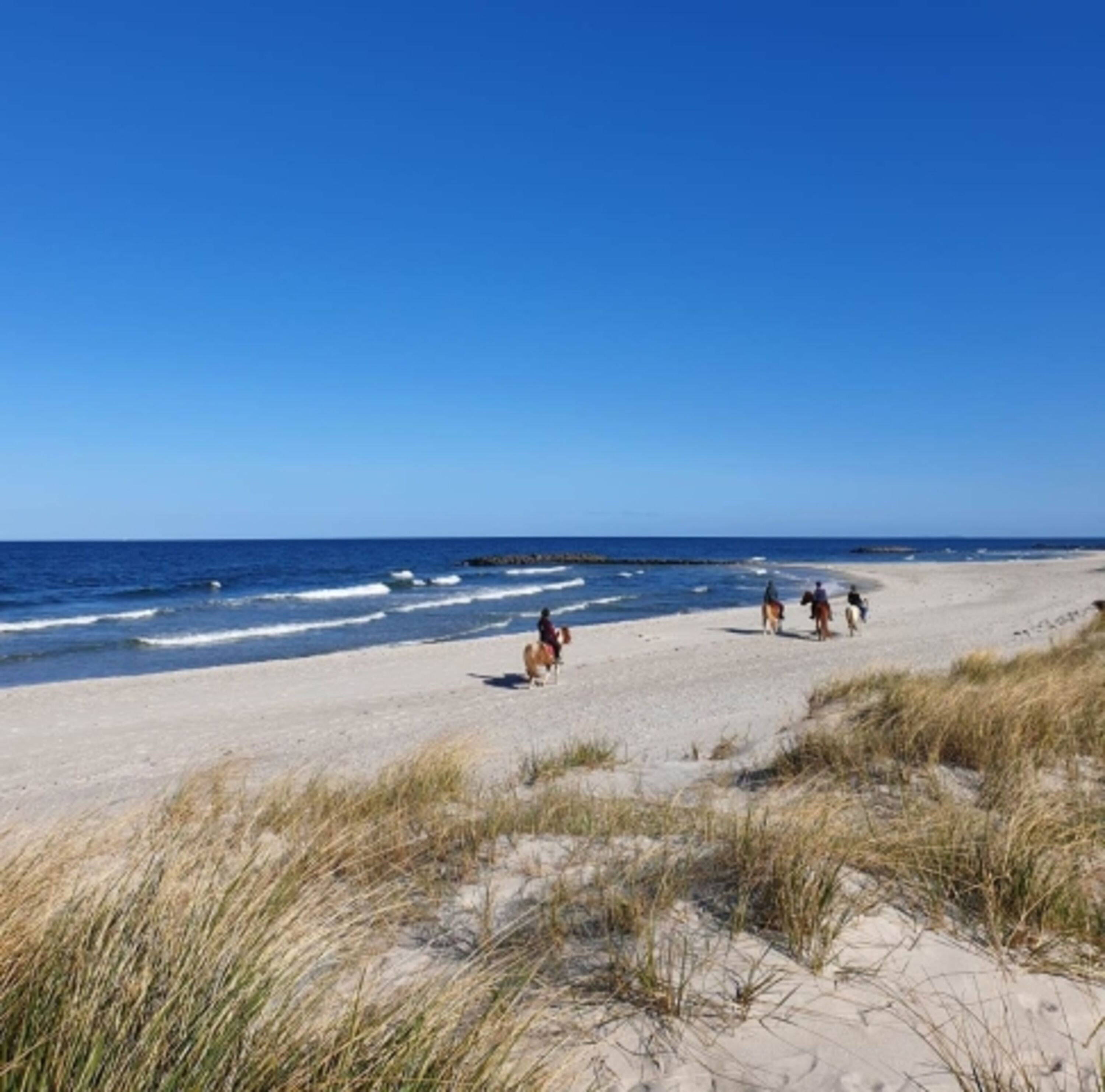 feinsandiger Strand
