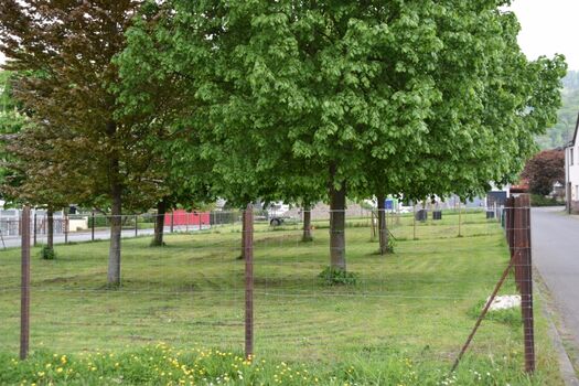 700 m2 voll eingezäunt