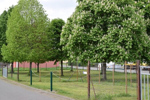 eingezäunte Hundewiese, gegenüber vom Haus