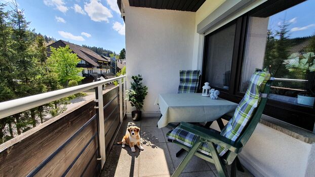 Sonnenstunden auf dem Balkon geniessen-Entspannung pur im Schwaarzwald