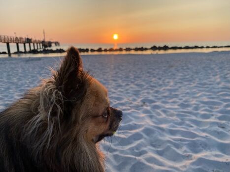 in der Nähe: Wustrower Seebrücke und Wellenbrecher 