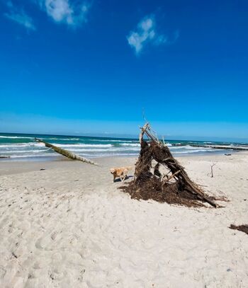 Hundestrand nur wenige Meter vom Haus entfernt 