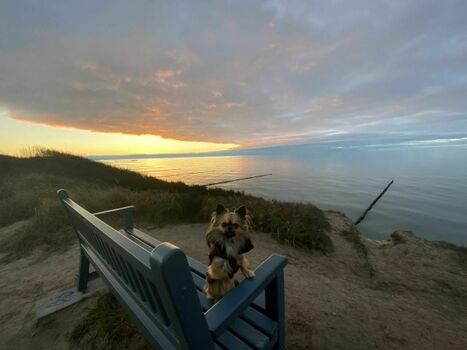 Auf der Steilküste von Ahrenshoop mit traumhafter Aussicht