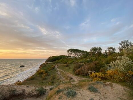 auf der Steilküste von Ahrenshoop