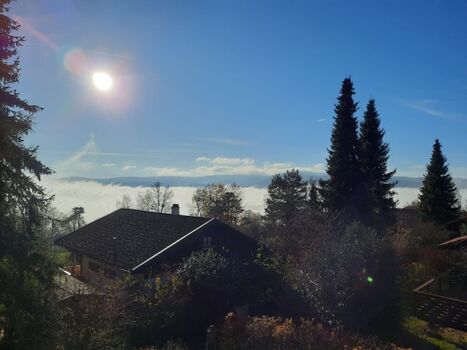 Ausblick im Feriendorf