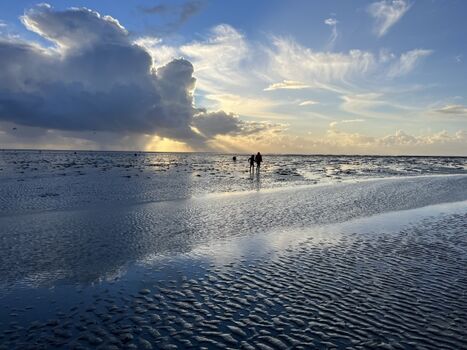 Wattenmeer nur 12 Min. zu Fuss
