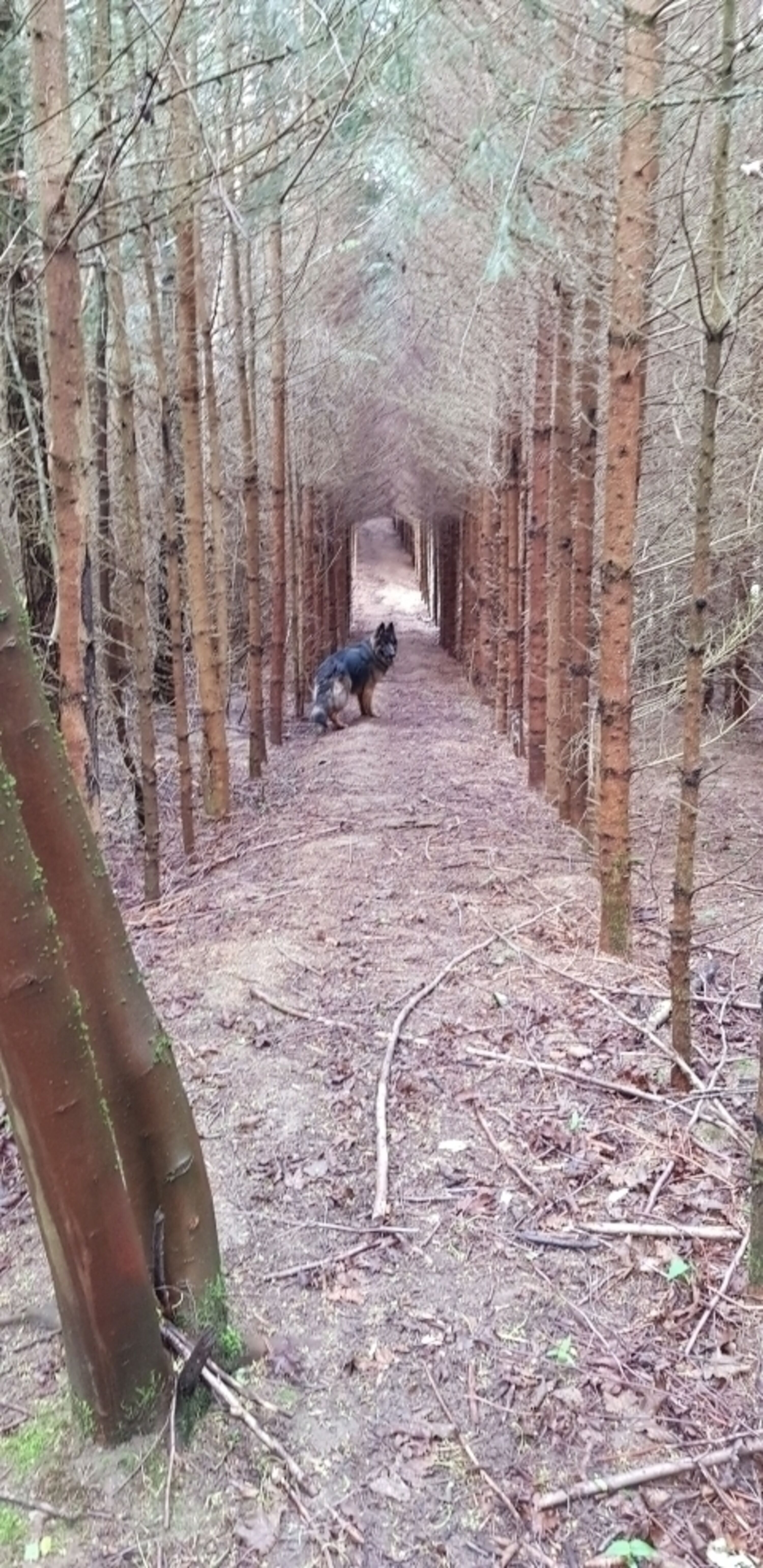 Bild 4