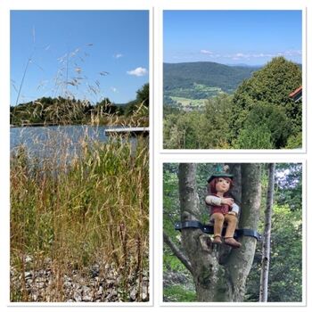 Fen Shui Park Lalling