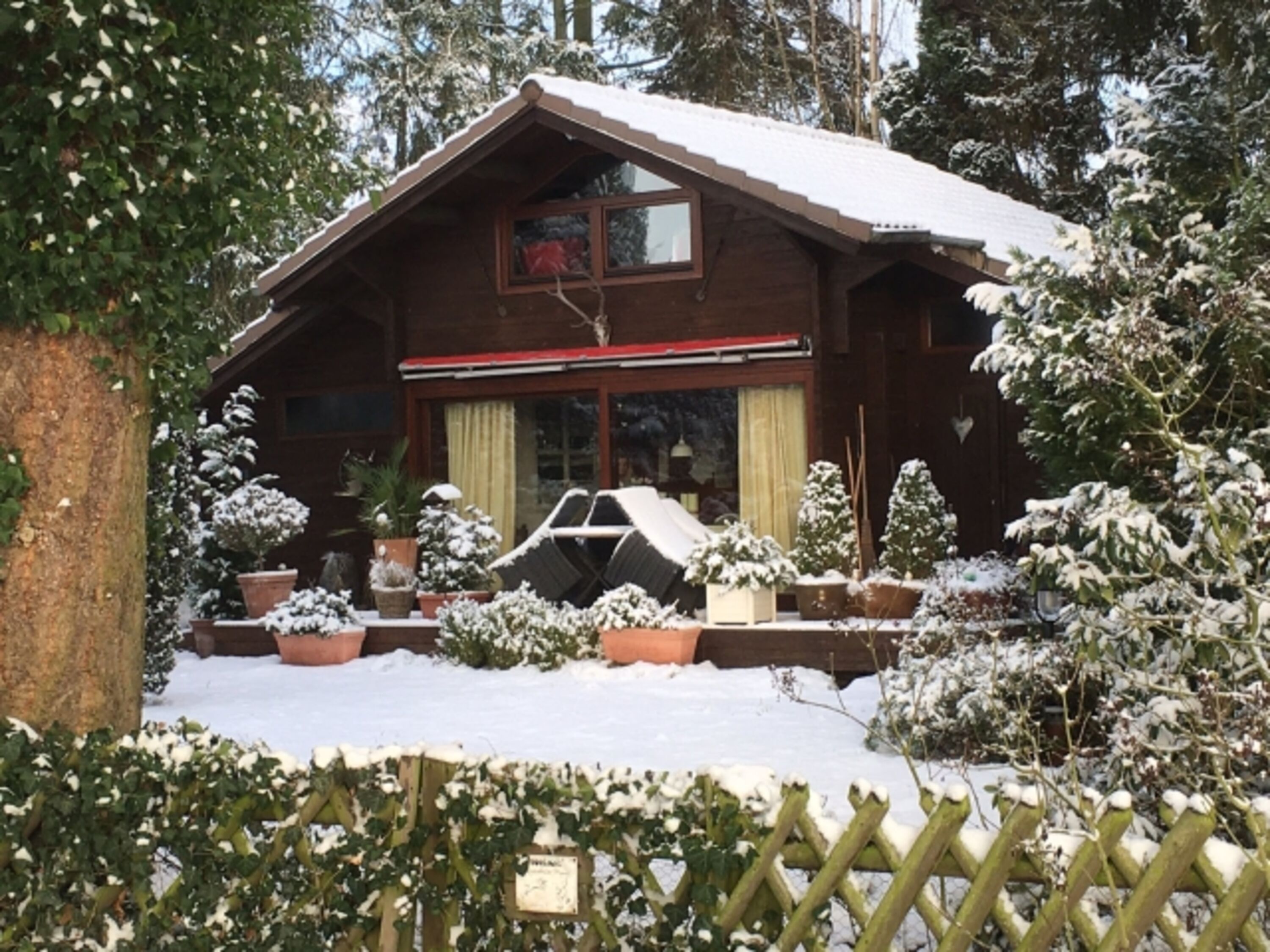 Winterimpression