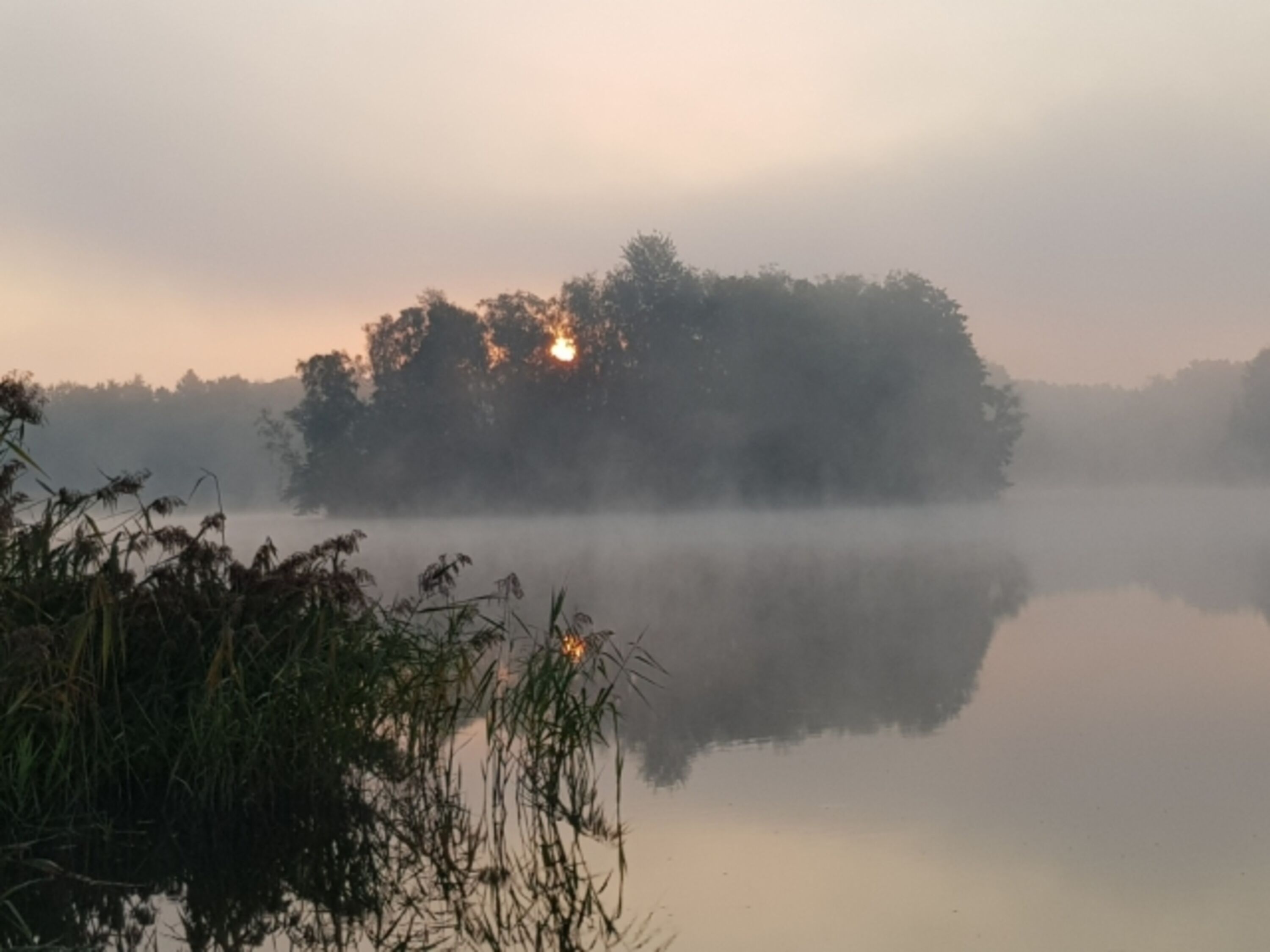Morgenstund`