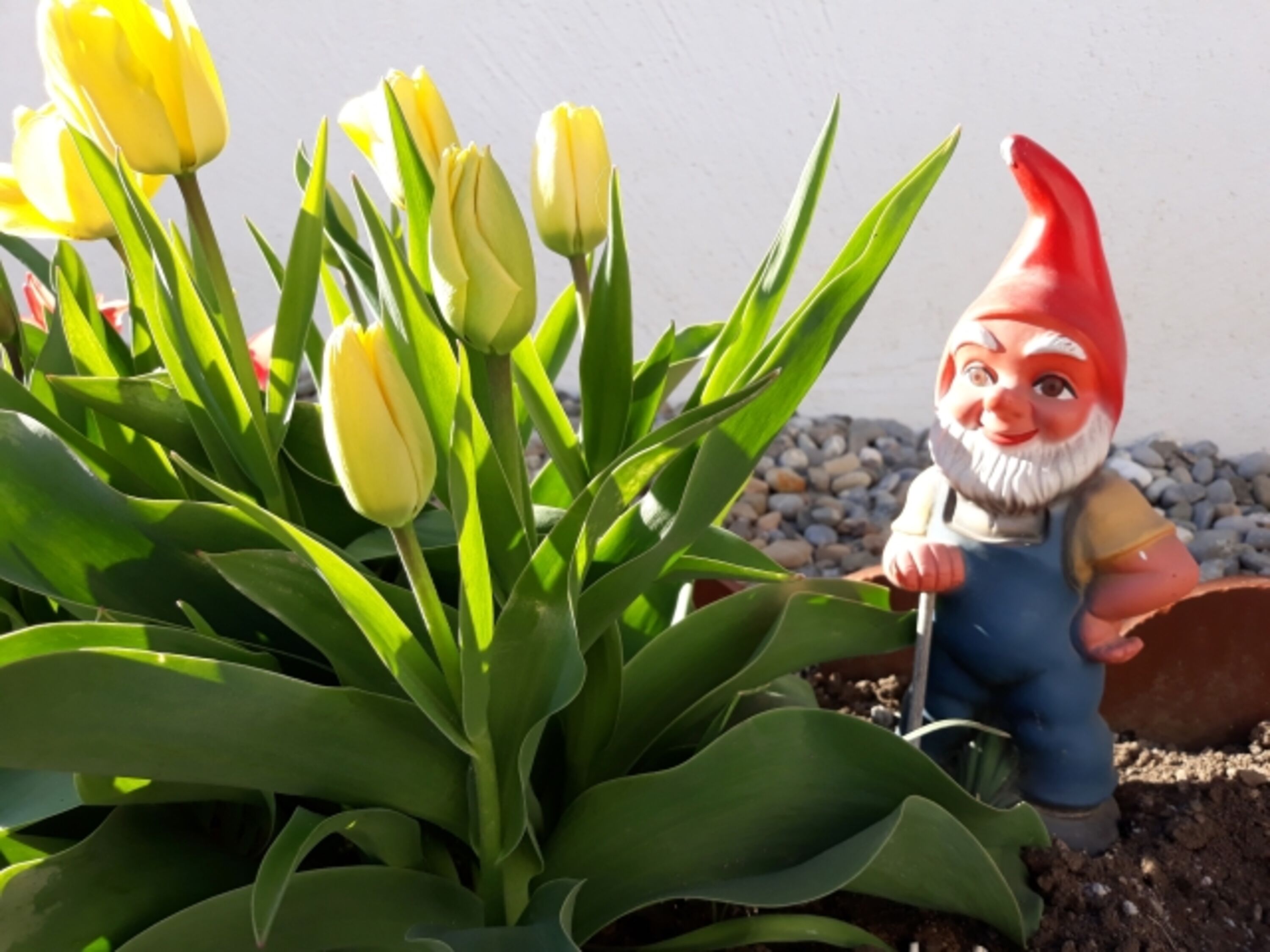 Bild 17