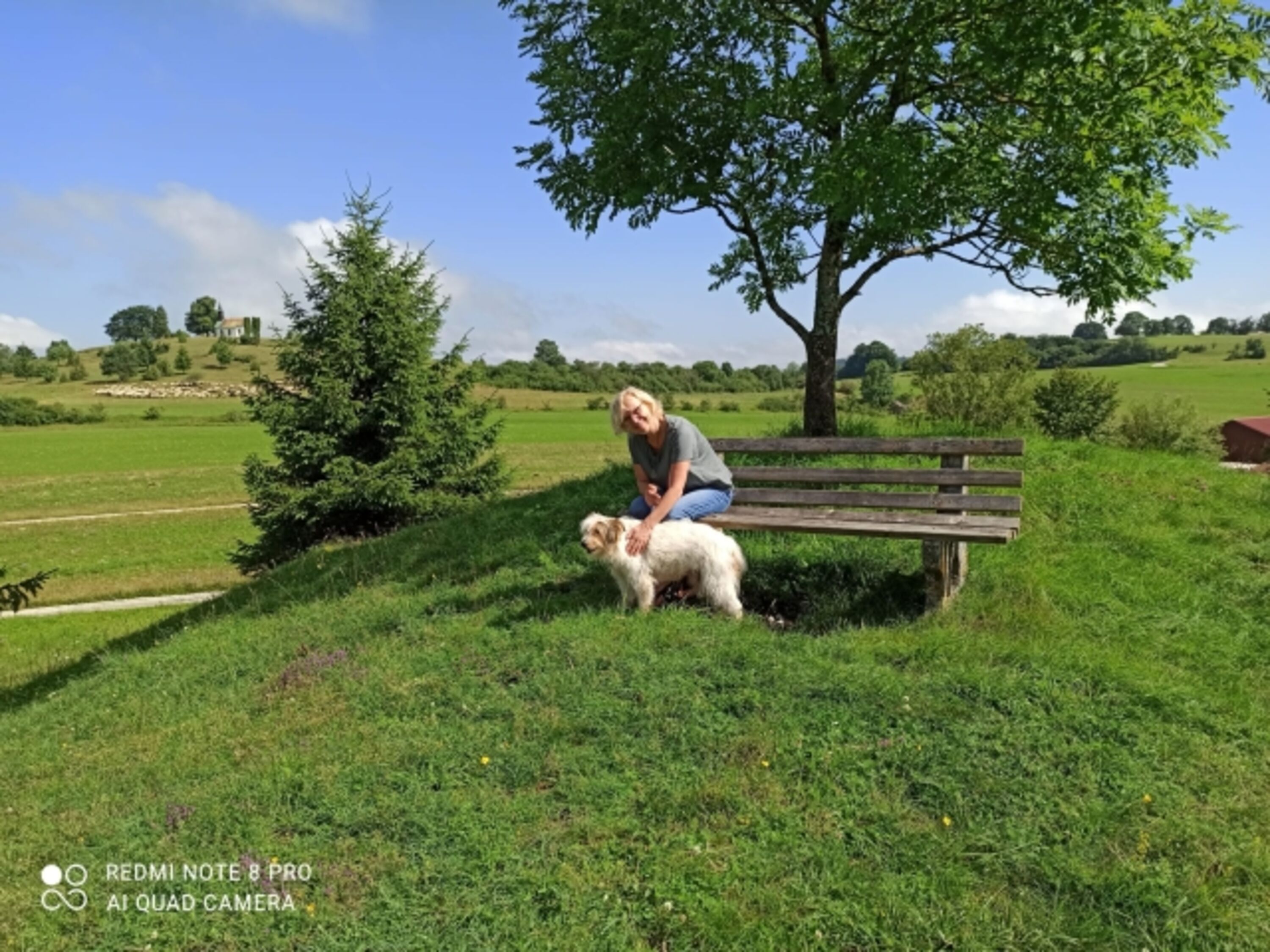 Bild 29