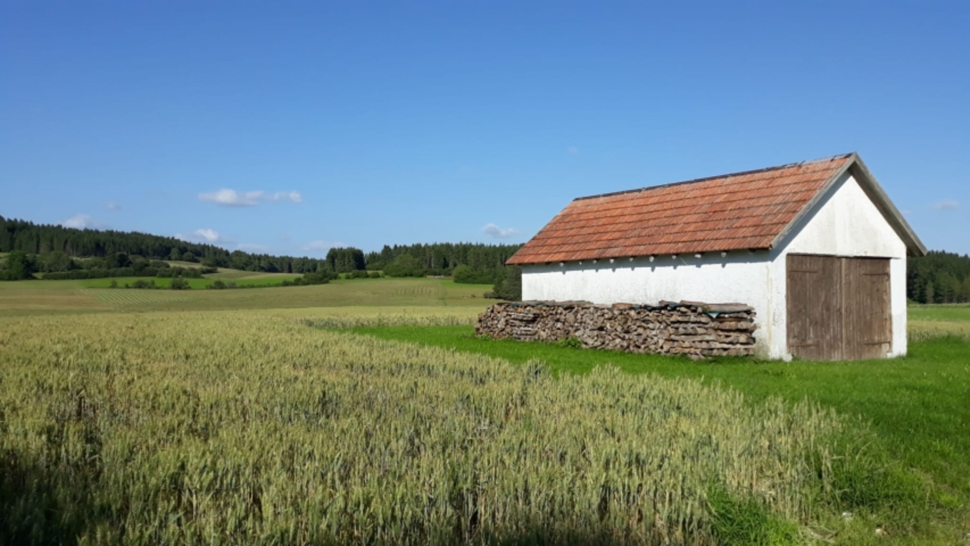 Bild 24