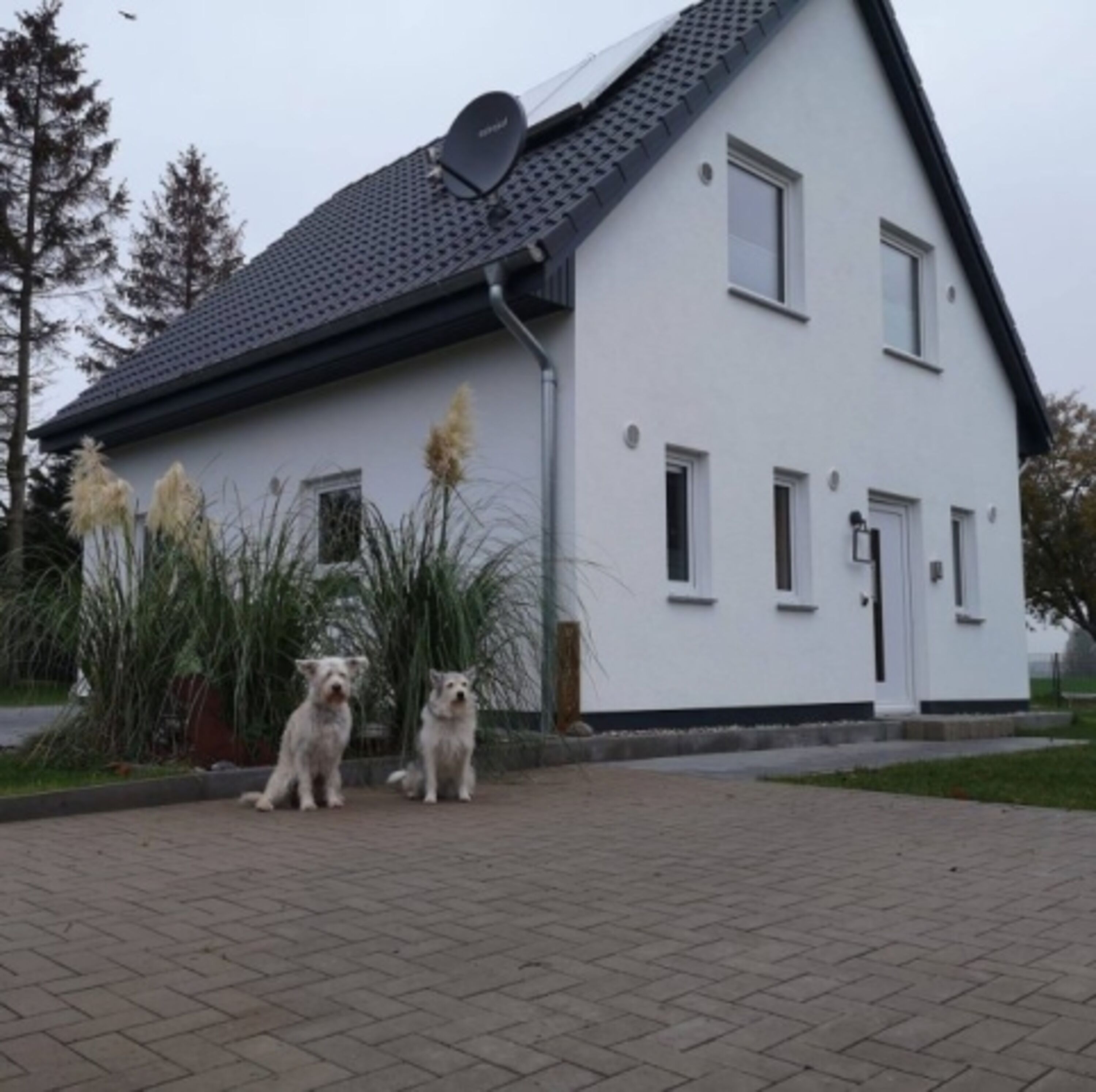 Bild 16