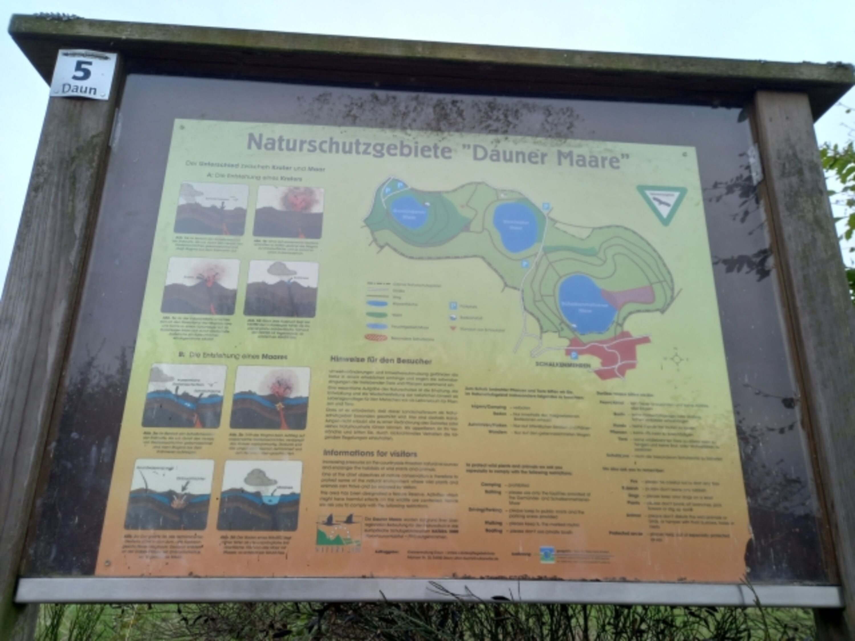 Bild 12