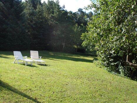 große Wiese daneben