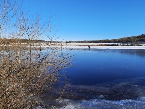 zugefrorener Jungferweiher