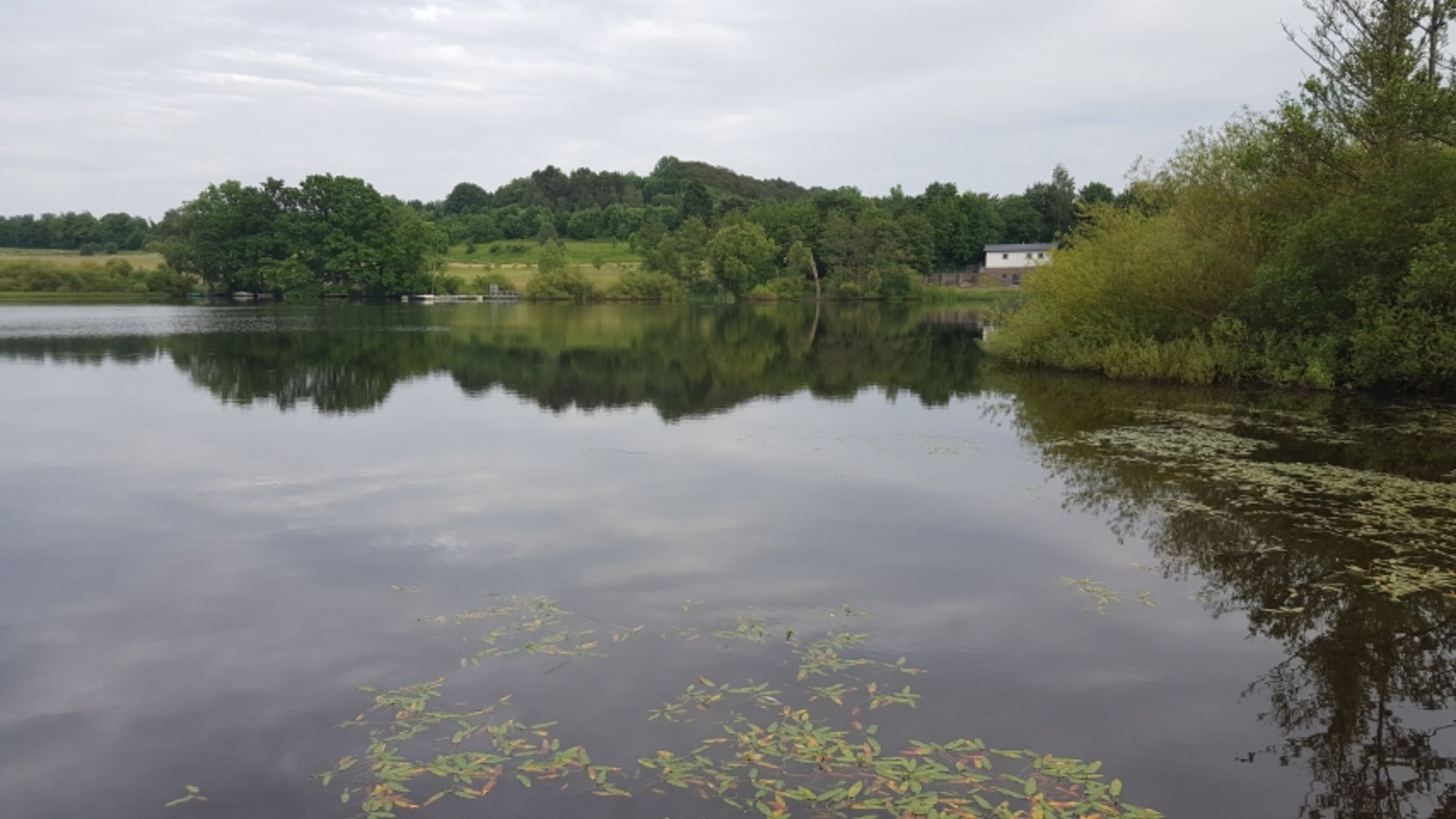 Der Jungferweiher