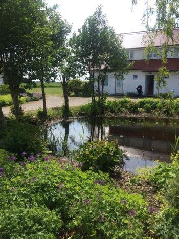 Der Innenhof vor dem Haus mit kleinem Teich