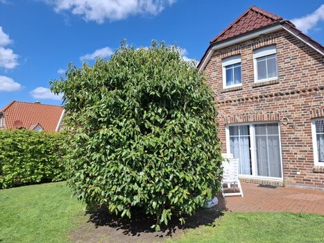 Landhaus Annika Greetsiel