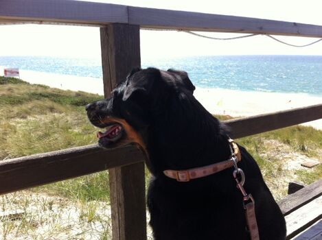 Blick vom Restaurant „Strandoase“