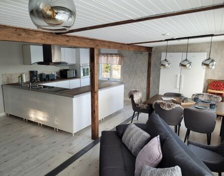 Schlafcouch mit Esszimmertisch und offener Küche