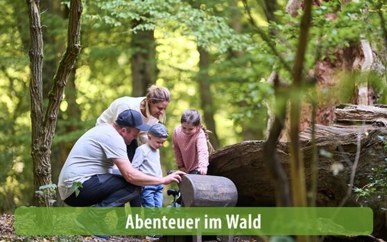 Entdeckungsreise im Urwald