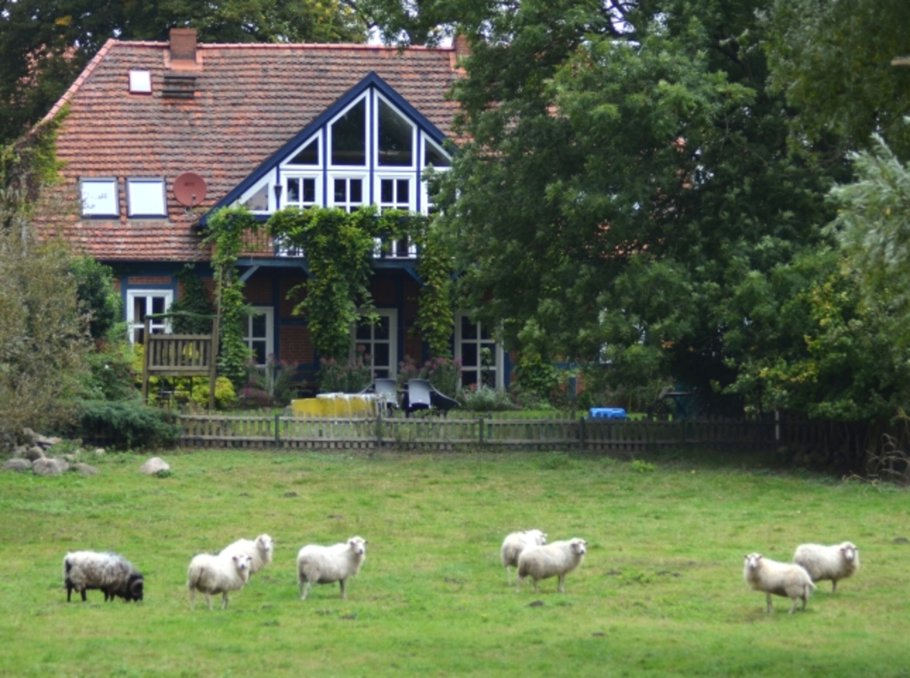 Blick vom Garten