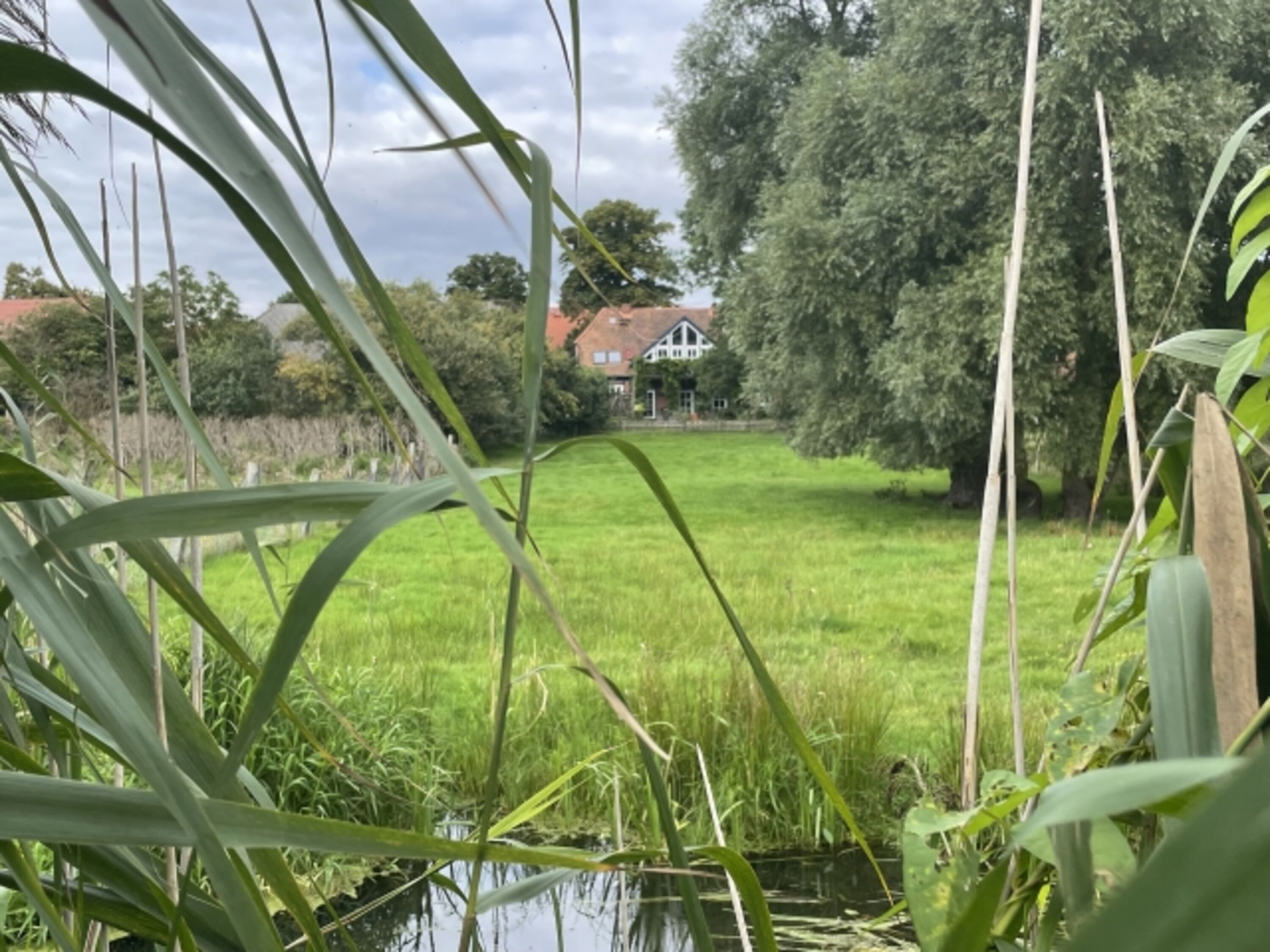 Bild 16
