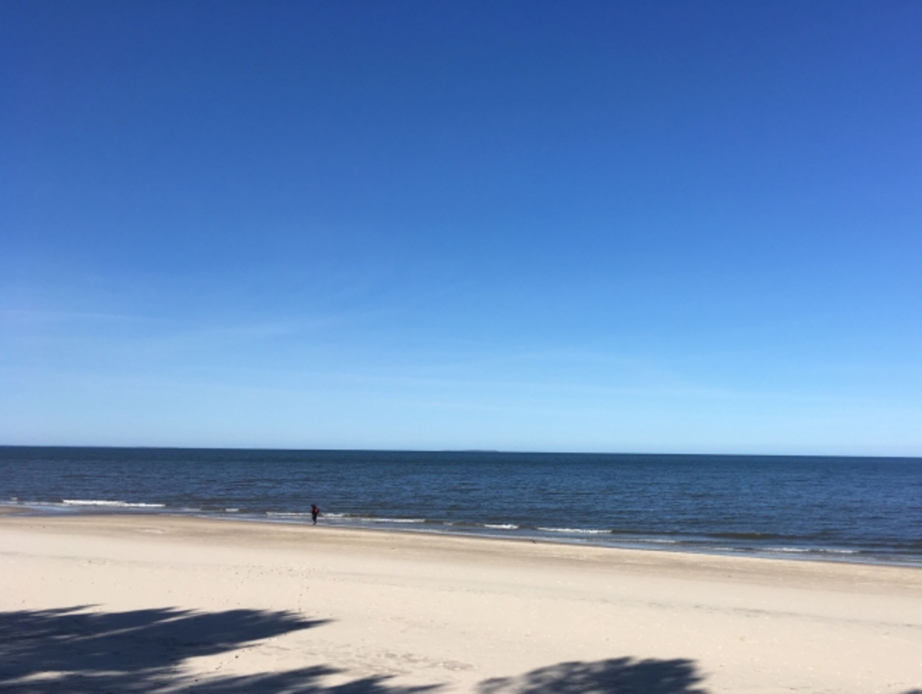 Hundestrand