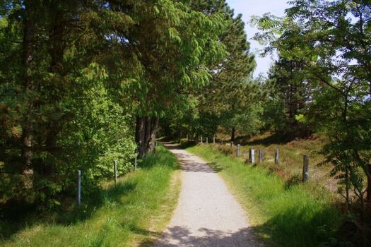 Spazierweg rund um Ihr Ferienquartier