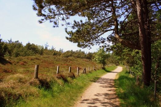 Spazierweg rund um Ihr Ferienquartier