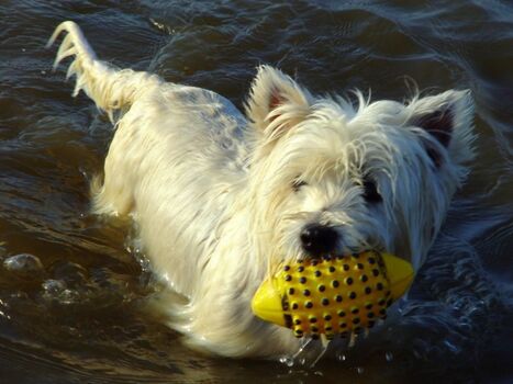 Ballspiele am Strand