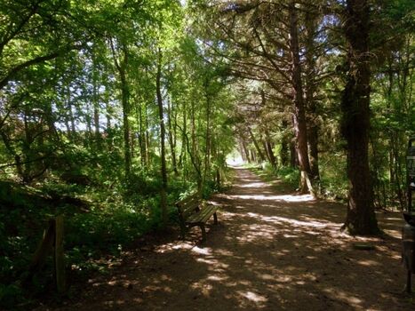 Spazierweg rund um Ihr Ferienquartier