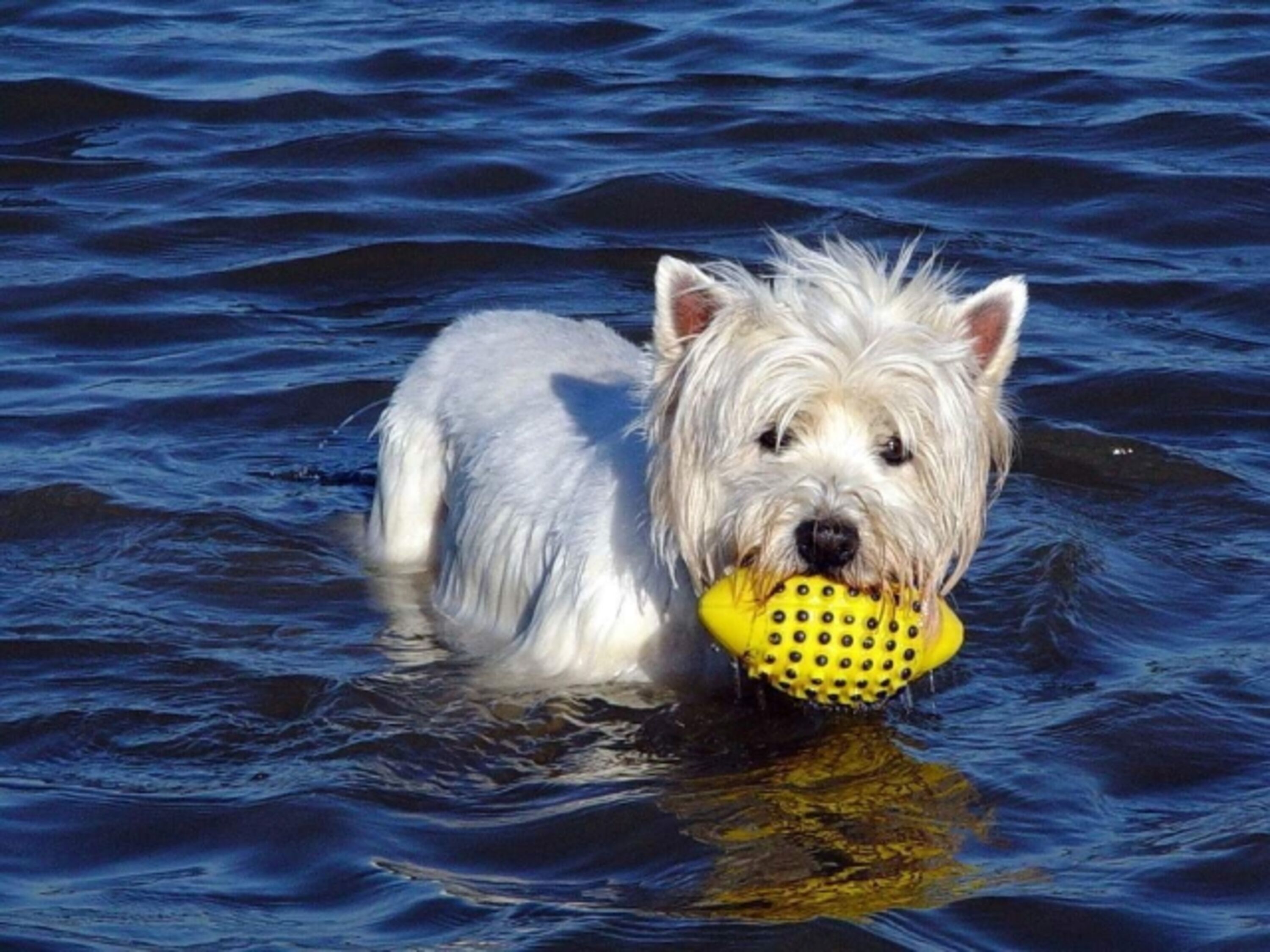 Ballspiele am Strand