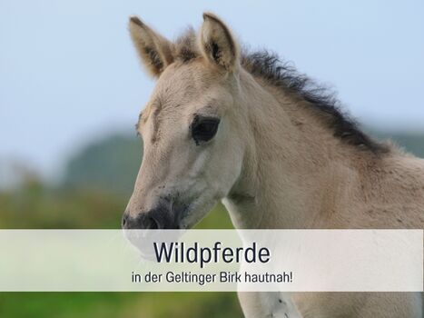 Toll für einen Tagesauflug. 