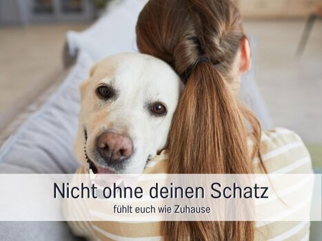 Bring gerne bis zu zwei Hunde mit Wenn du mehr hast, sprich mich gerne an.