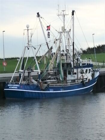 Im Dornumersieler Fischereihafen 