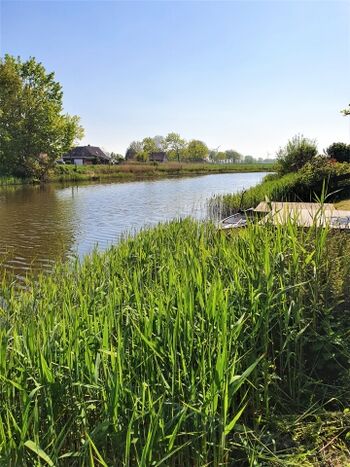 Tolle Aussicht über das sommerliche Siel
