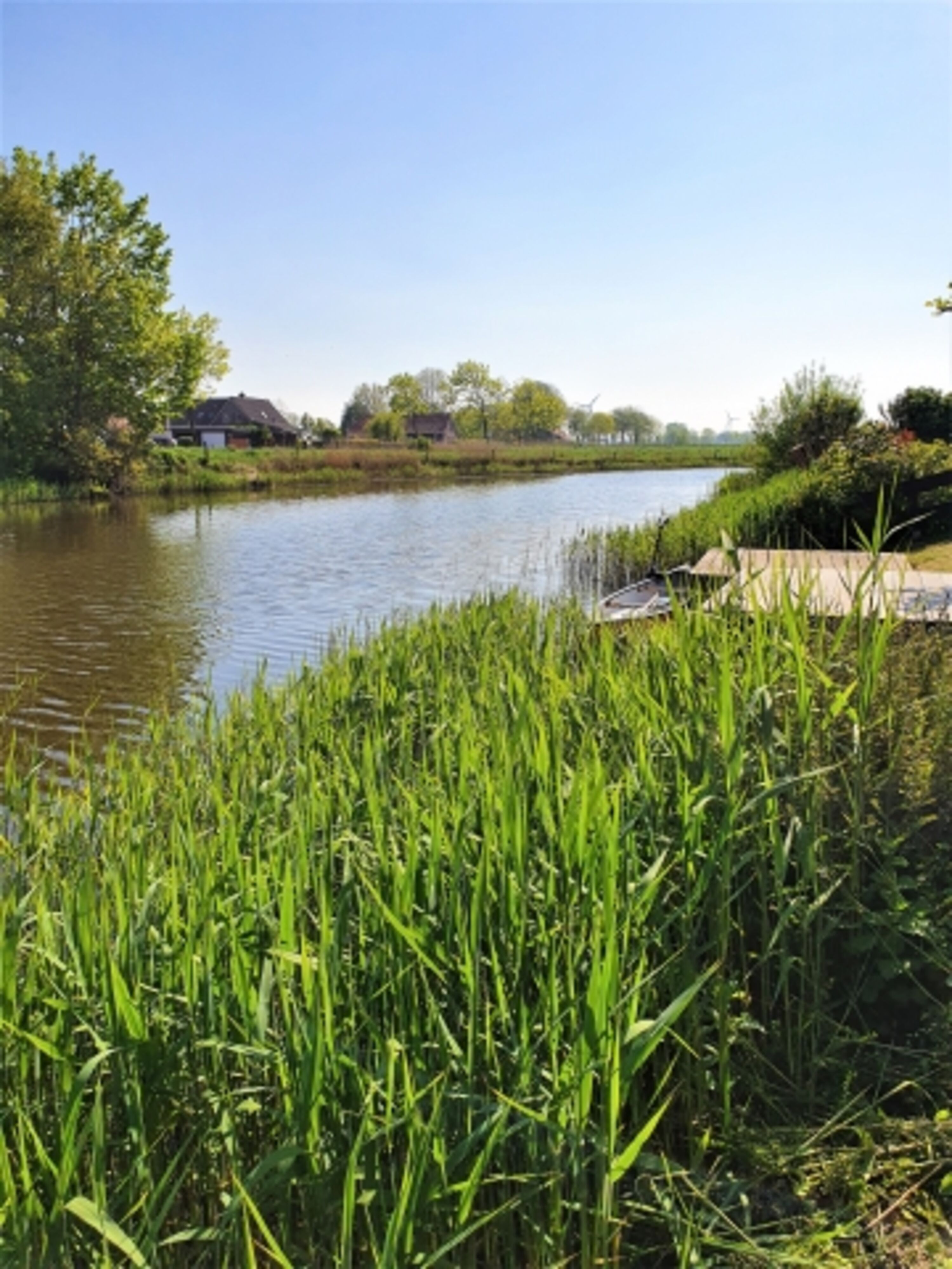 Tolle Aussicht über das sommerliche Siel