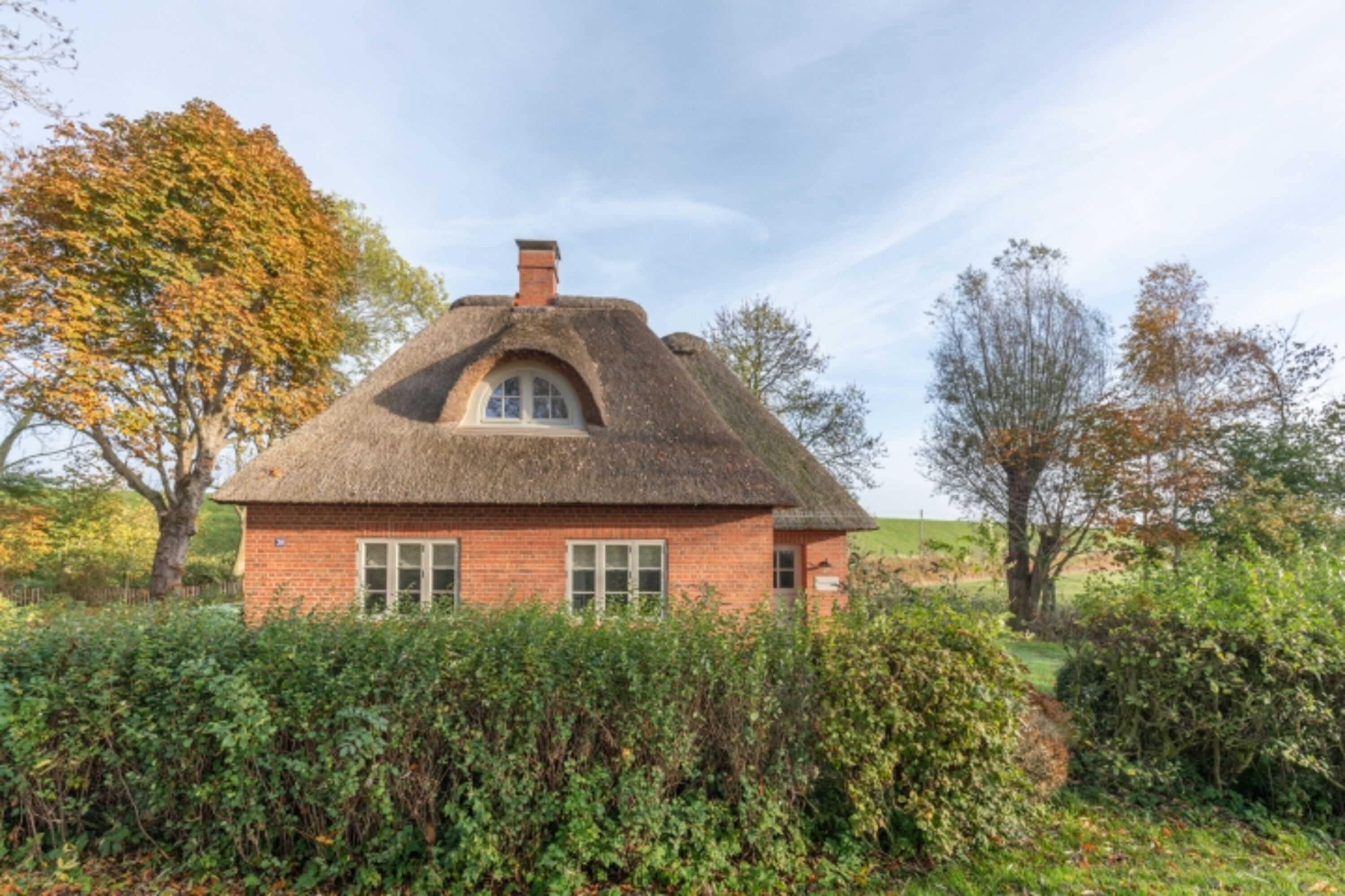 Deichwärterkate - Romantisches Reetdachhaus mitten in der Natur 